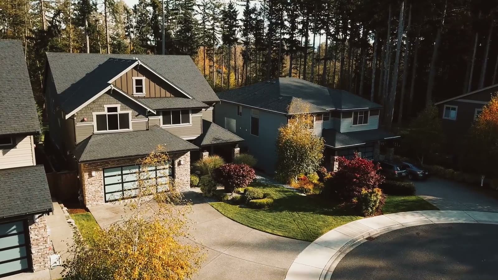 An aerial view over a residential street lined with autumn trees